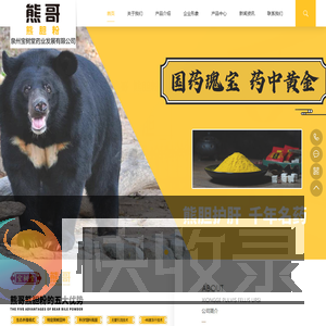 天圣网