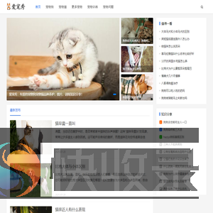 有爱的宠物狗宠物猫品种养护