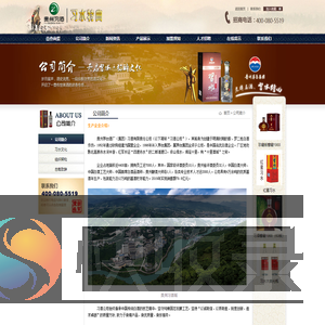 公司简介