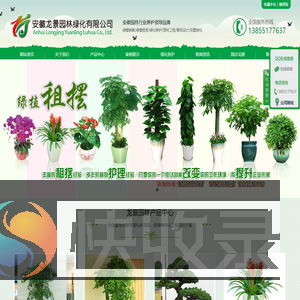 合肥绿化养护