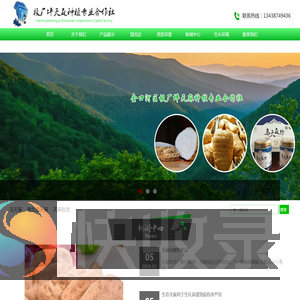 乌天麻,原生态天麻,天麻批发