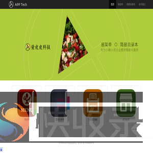 爱皮皮科技