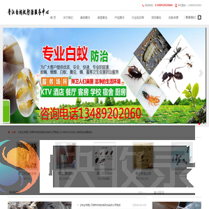 晋江白蚁防治站