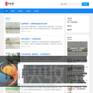 建顺网