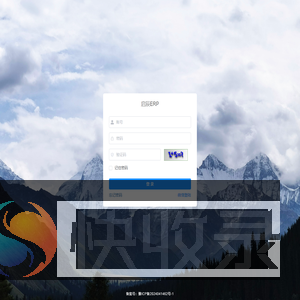 启辰ERP