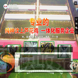汶上芦花鸡,芦花鸡苗,芦花鸡蛋价格,芦花鸡鸡蛋,芦花鸡种蛋,山东金秋农牧科技股份有限公司