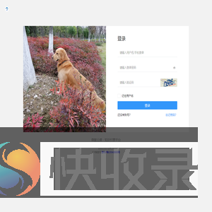 微服云课
