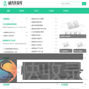 威秀连接线股份有限公司
