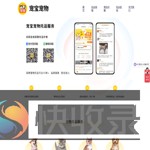 宠宝宠物托运