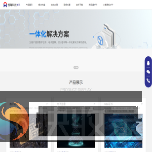 CA在线办理平台