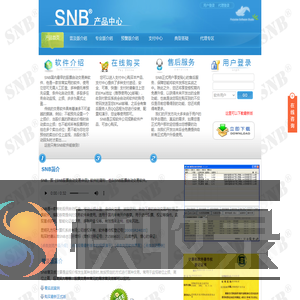 SNB®股票自动交易软件