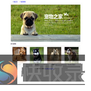 宠物之家