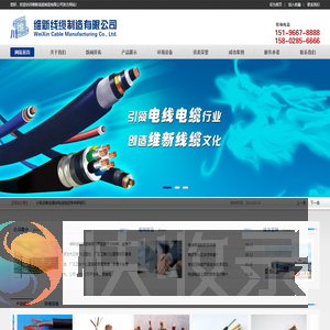 维新线缆制造有限公司