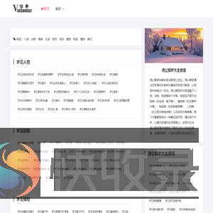 V学网