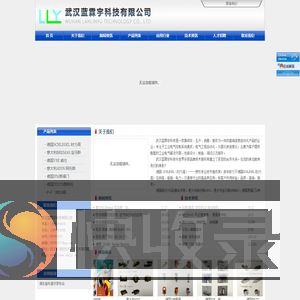 武汉蓝霖宇科技有限公司