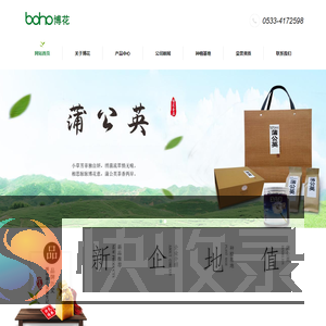 博花蒲公英,蒲公英茶