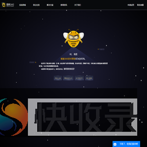 蜂巢SAAS