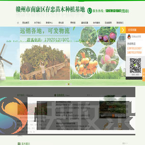 赣州市南康区存忠苗木种植基地
