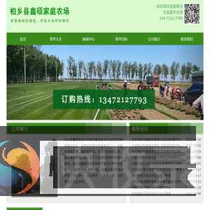 河北省石家庄市栾城区草坪种植基地