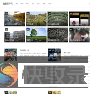 鱼贯而行网