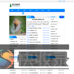 察见渊鱼网