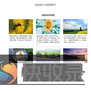 起名网