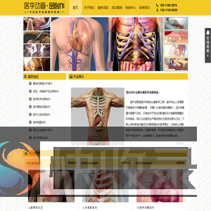 医学动画