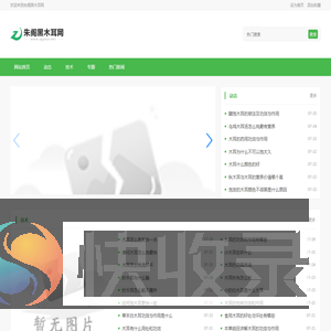 朱阁黑木耳网