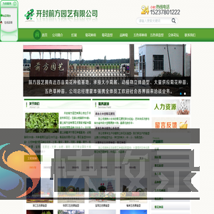 五色草造型