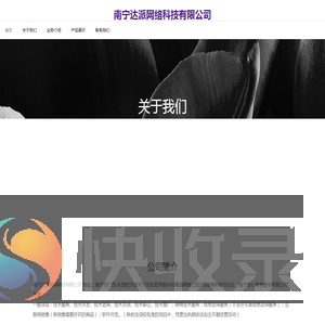 南宁达派网络科技有限公司