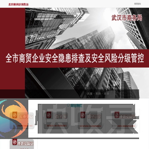 安全生产管理信息化系统