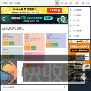 CS2饰品
