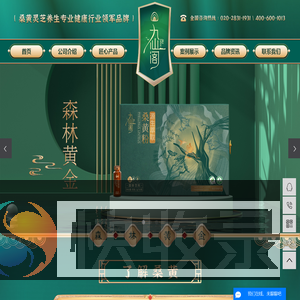 桑黄灵芝
