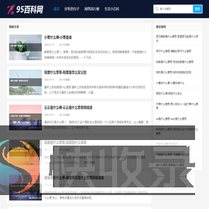 95百科网