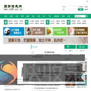圆梦信息网