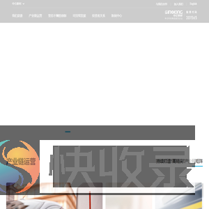 中仑新材料股份有限公司