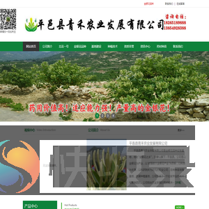 平邑县青禾农业发展有限公司