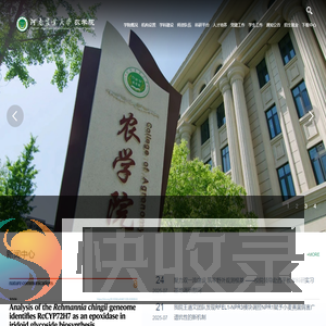 河南农业大学农学院