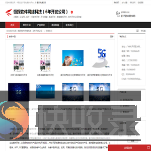 软件开发