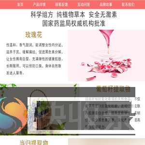 王子怡个人作品展示