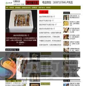 2023松茸价格多少钱一斤