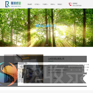 山东隆润