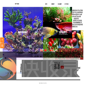 NP纽斯科技