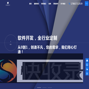 软件开发