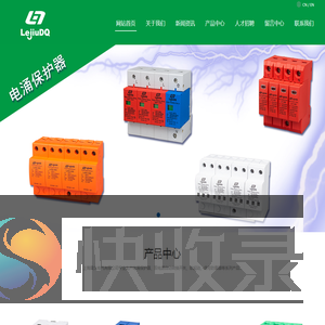 上海雷久电气有限公司