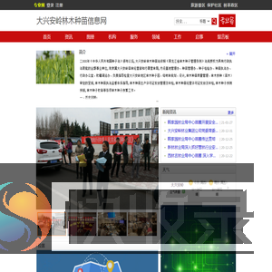 大兴安岭林木种苗信息网