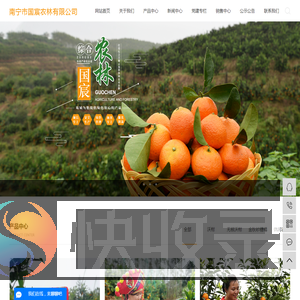沃柑价格