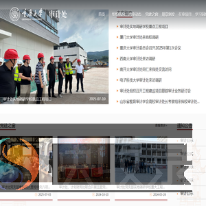 重庆大学审计处