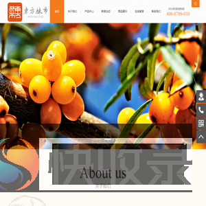东方棘市
