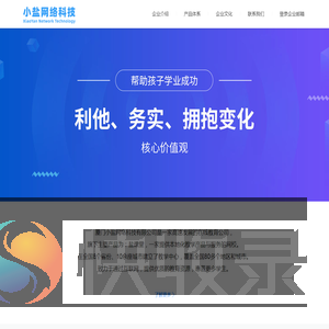 小盐网络科技